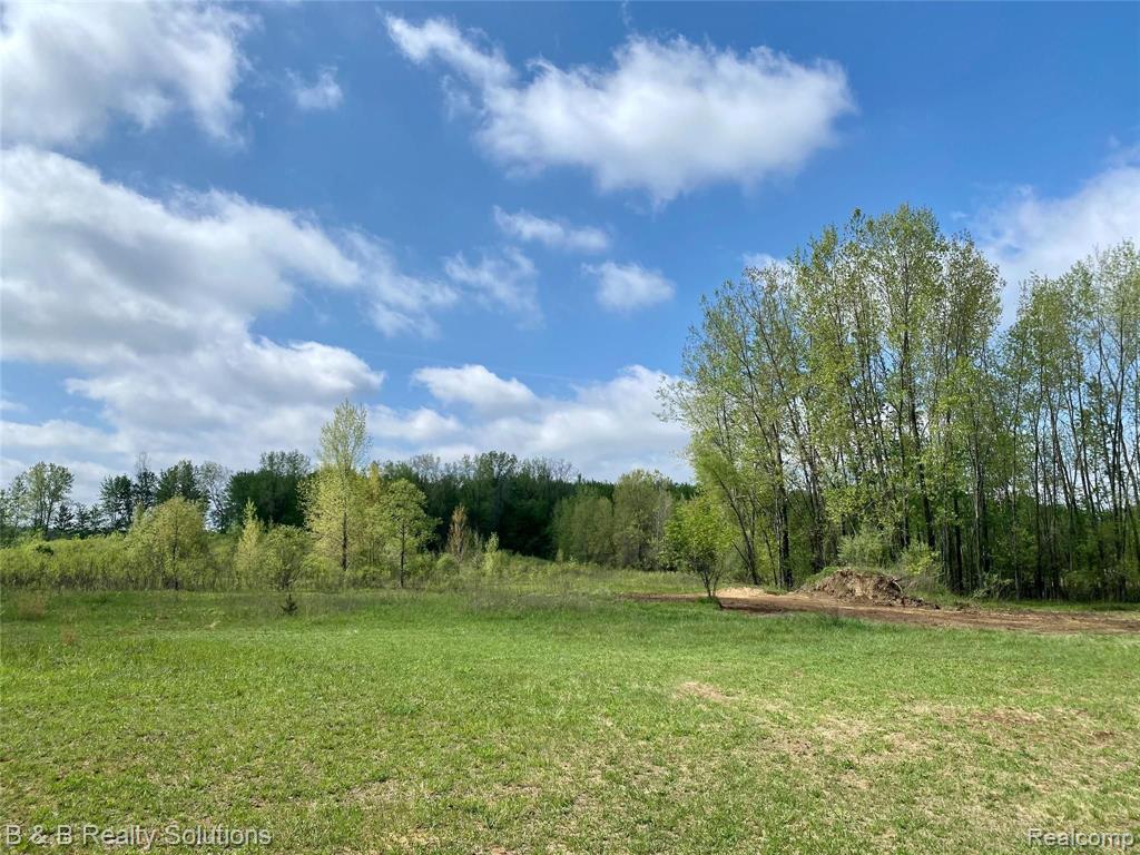 0 O Brien Road Mayville, MI 48744 - Photo 1 of 22