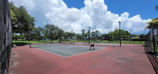 a view of a park with large trees