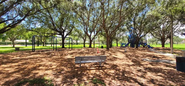 a view of a park with large trees