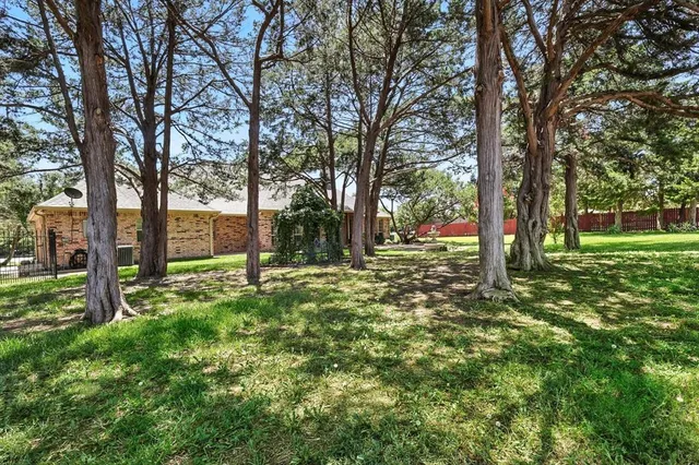 a view of a green field