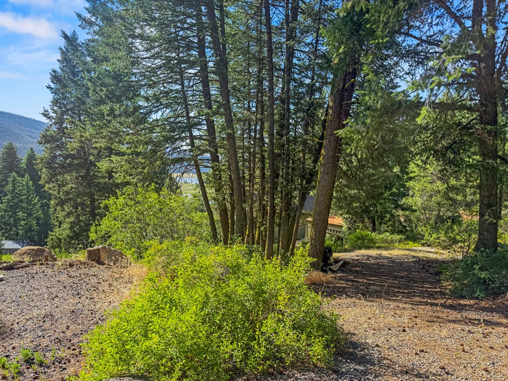 507 Collier View Road, Unit 30 Cascade, ID 83611 - Photo 13 of 18 Lot Access on Roughed in Road