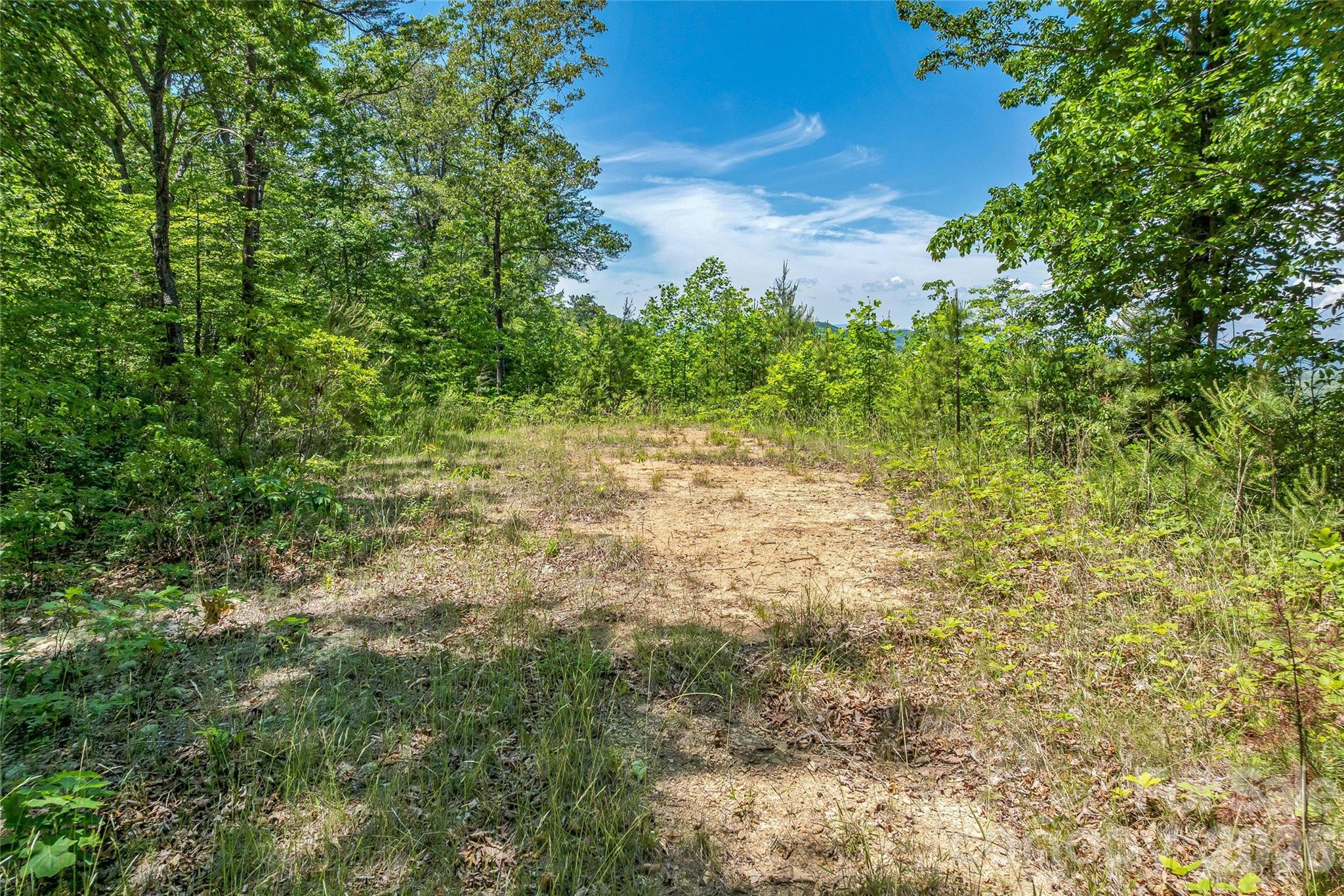 180 Fat Wall Road Marion, NC 28752 - Photo 23 of 32 a view of a yard with trees and bushes