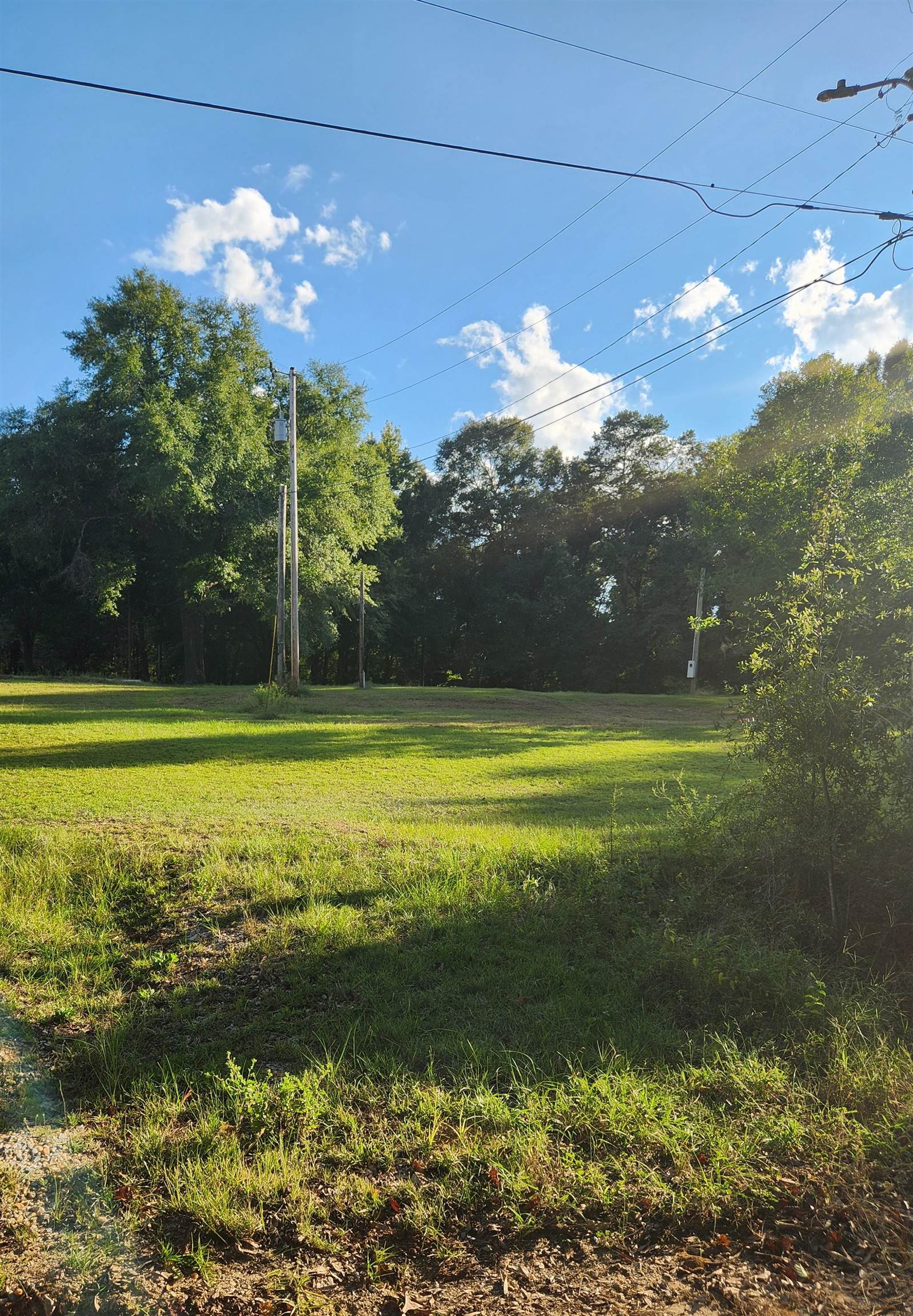 11522 Lawson Road Andalusia, AL 36421 - Photo 2 of 3 Gallery Image 2
