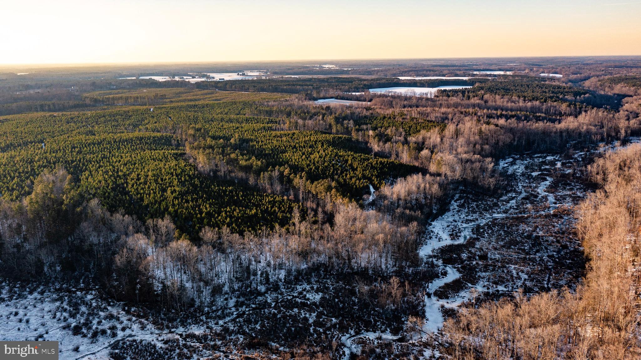 Tbd Sparta Road Milford, VA 22514 - Photo 1 of 48 a view of city and mountain