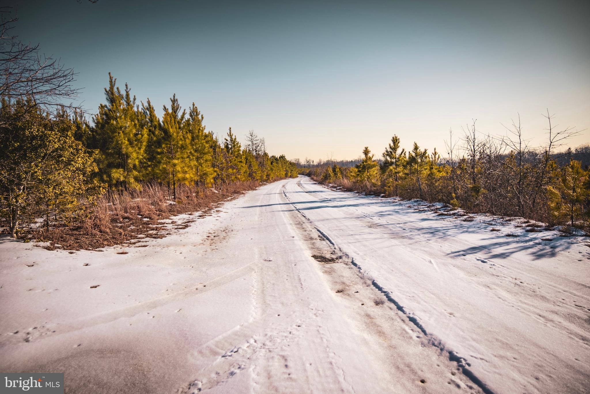 Tbd Sparta Road Milford, VA 22514 - Photo 11 of 48 a view of a dry yard with a house