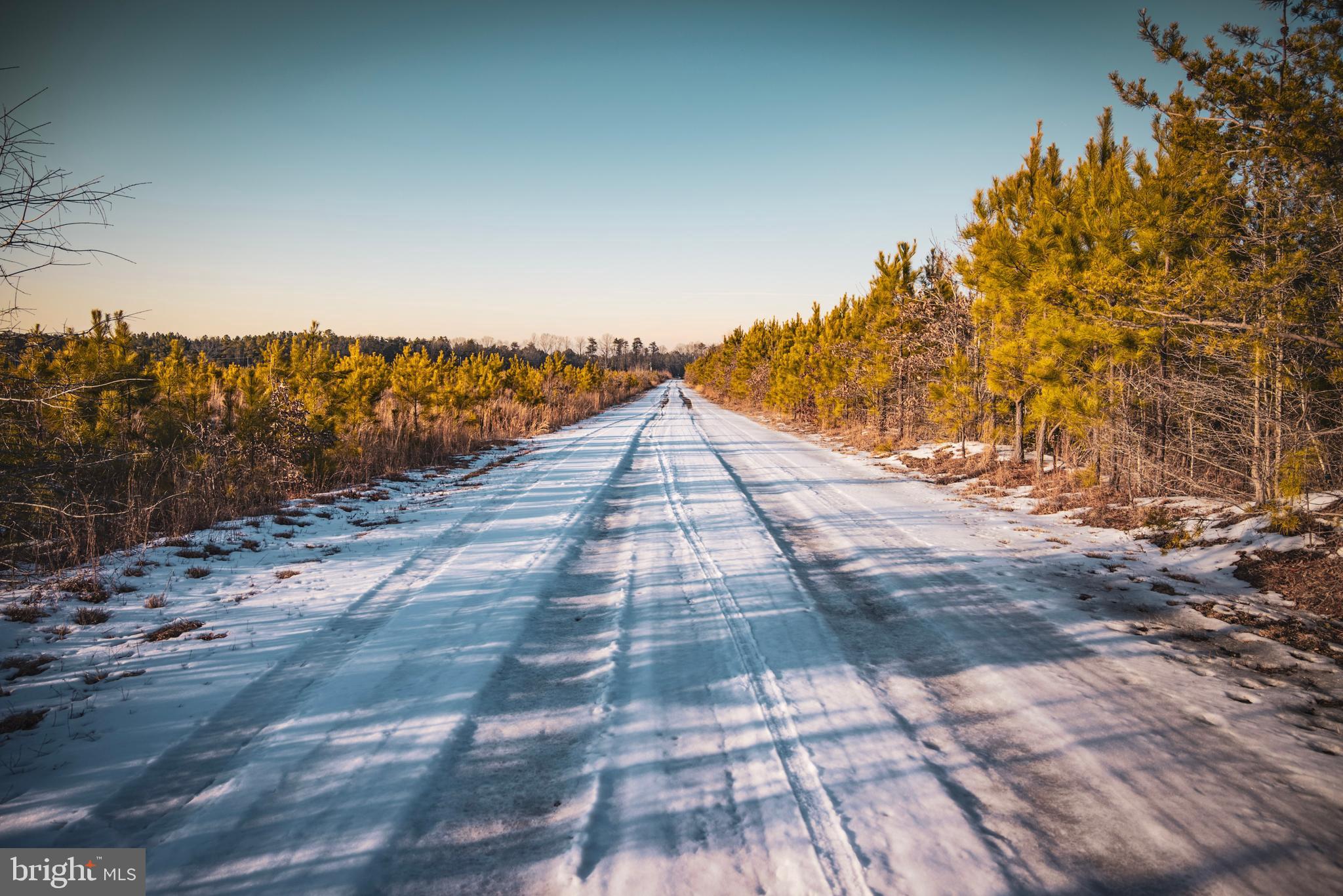 Tbd Sparta Road Milford, VA 22514 - Photo 12 of 48 a view of outside space