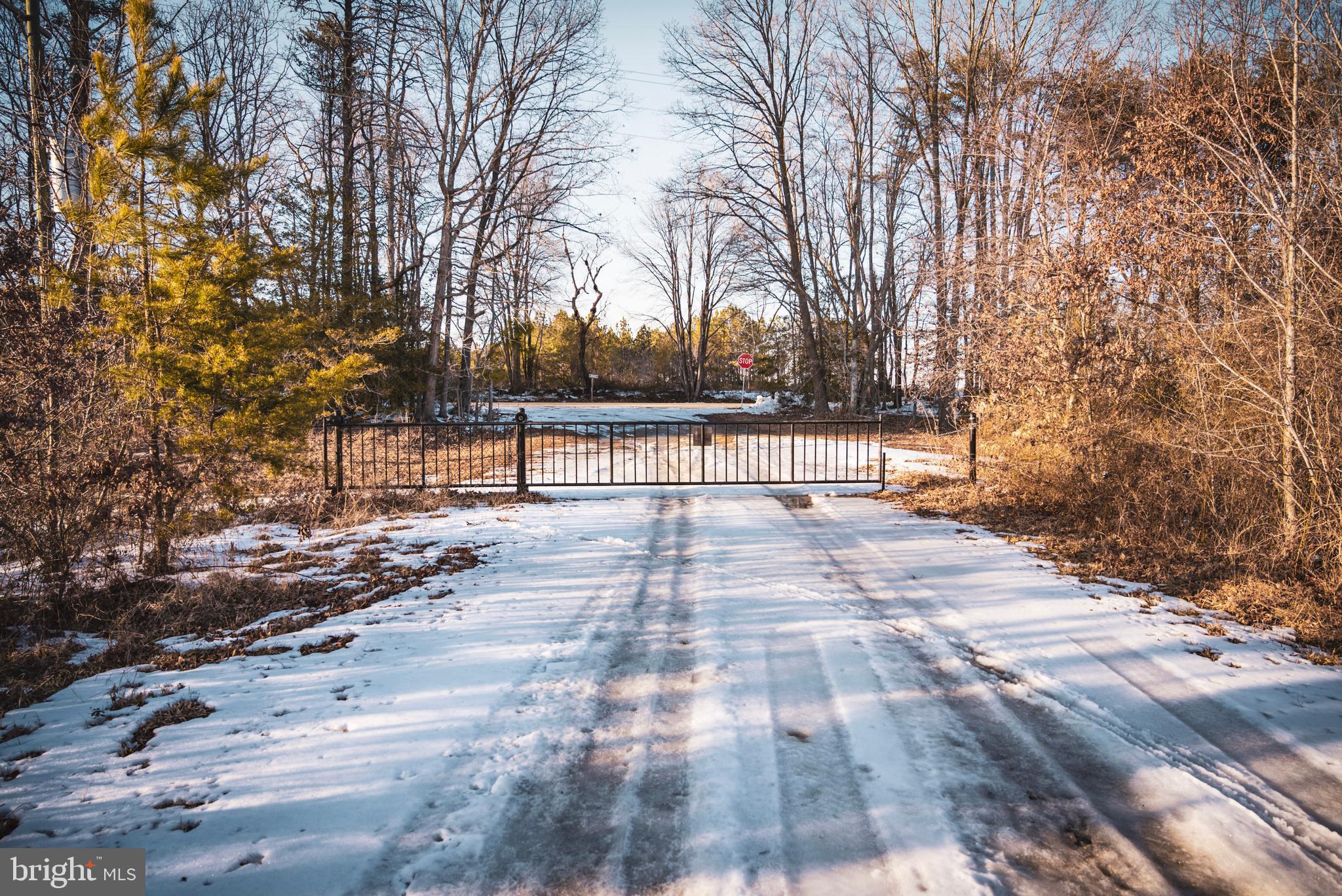 Tbd Sparta Road Milford, VA 22514 - Photo 15 of 48 a view of outdoor space with deck and trees