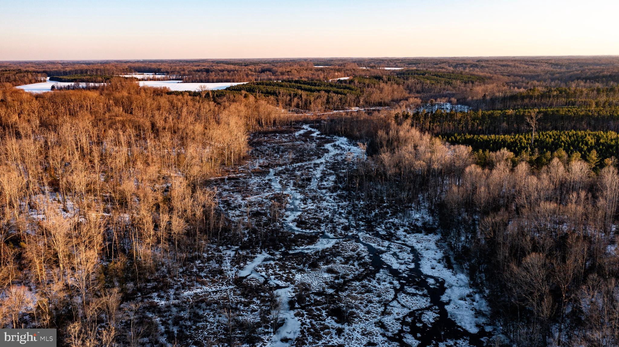 Tbd Sparta Road Milford, VA 22514 - Photo 18 of 48
