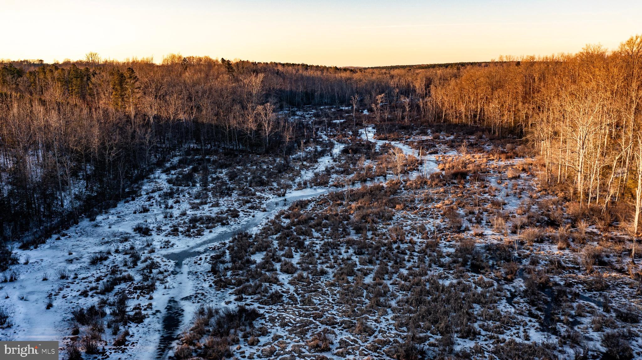 Tbd Sparta Road Milford, VA 22514 - Photo 20 of 48 a view of a mountain and a forest