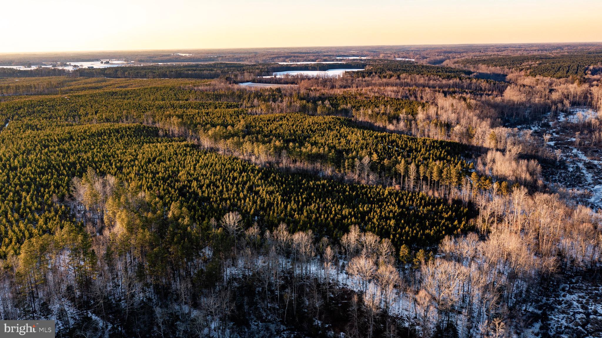 Tbd Sparta Road Milford, VA 22514 - Photo 2 of 48 a view of city and ocean