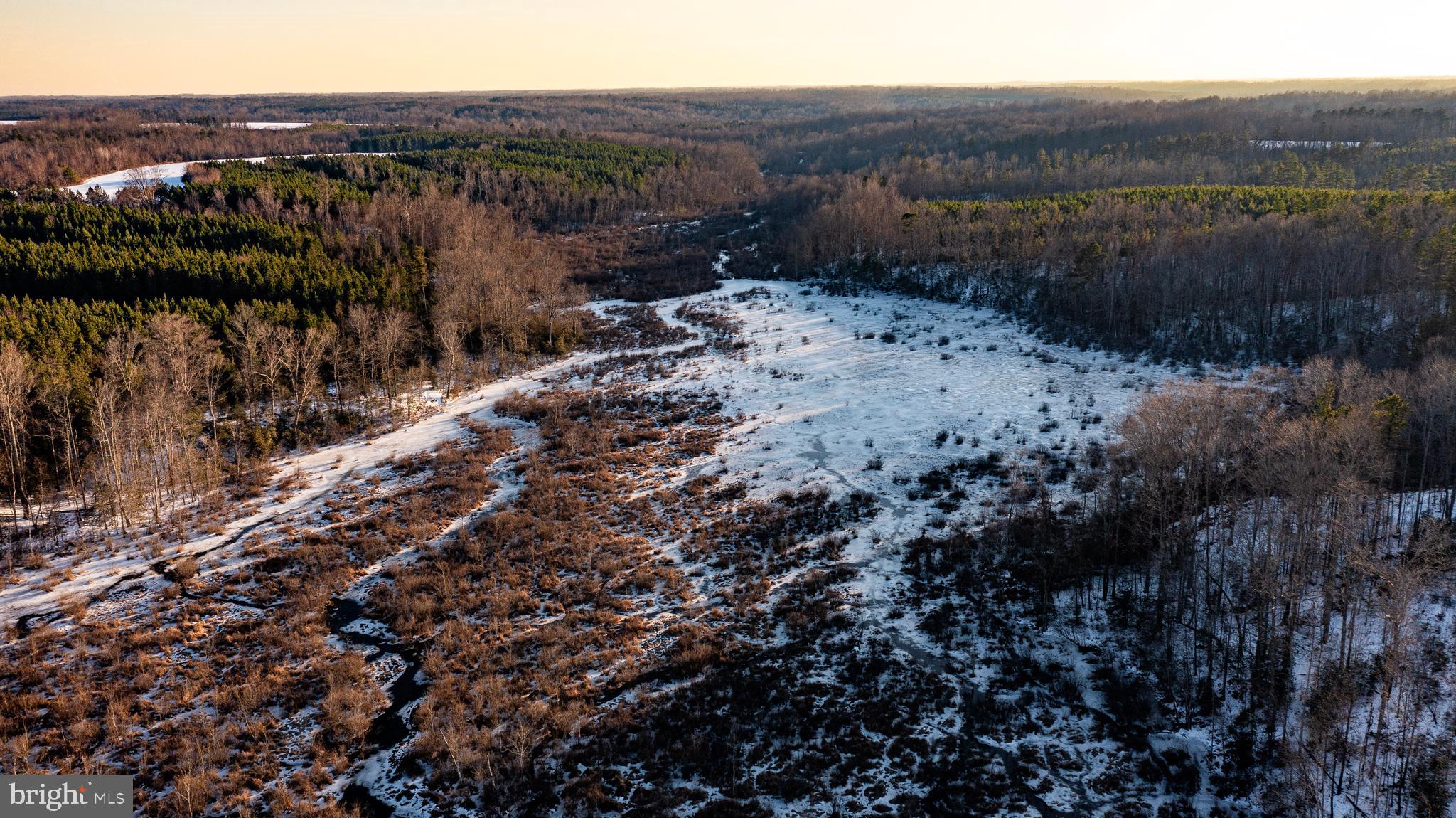Tbd Sparta Road Milford, VA 22514 - Photo 21 of 48 a view of a lake with a mountain in the background