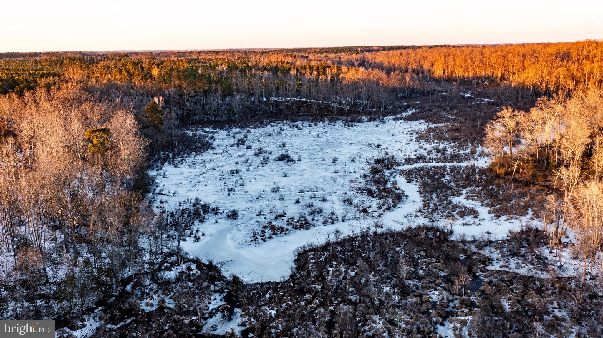 Tbd Sparta Road Milford, VA 22514 - Photo 22 of 48 a view of a backyard of a house