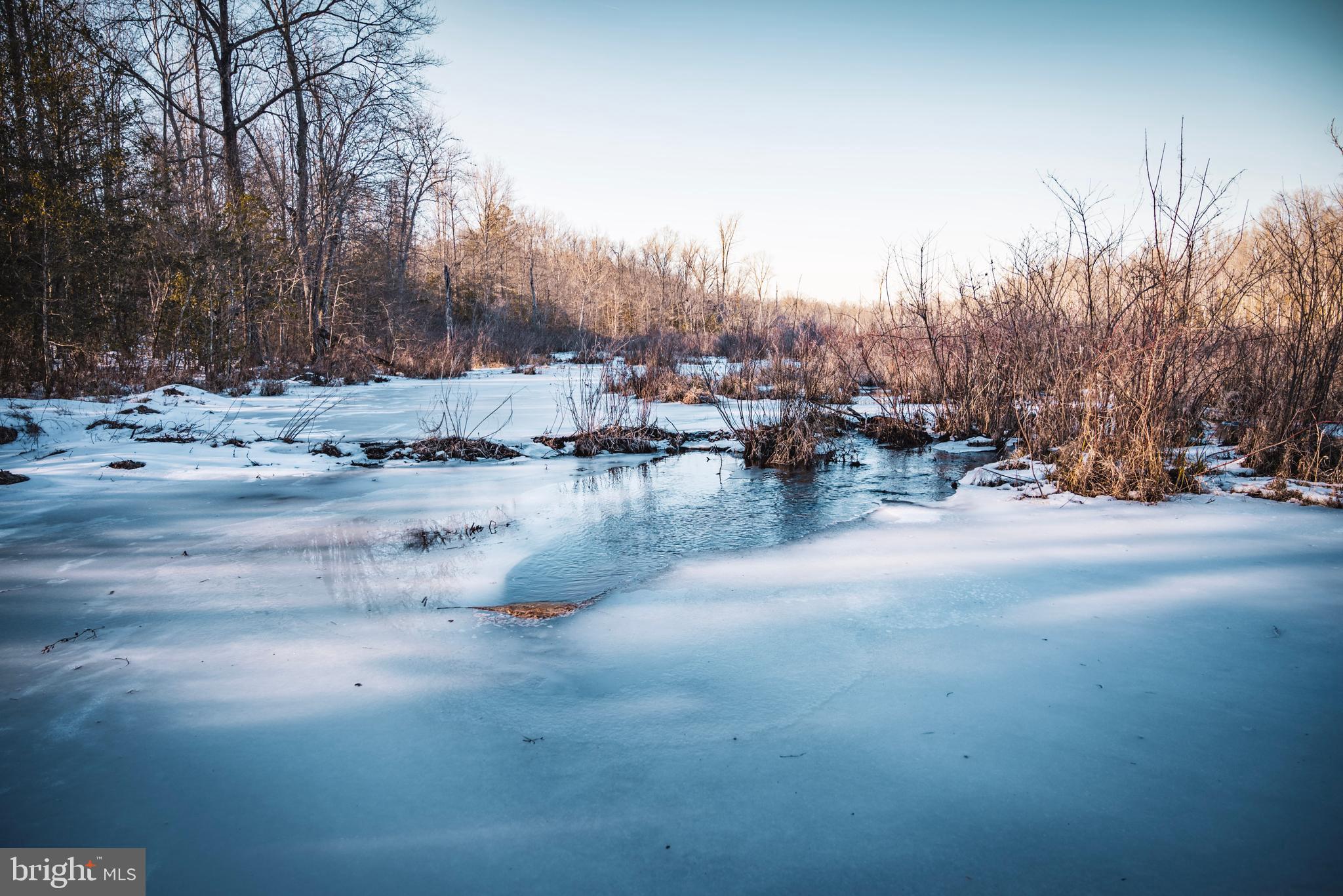 Tbd Sparta Road Milford, VA 22514 - Photo 23 of 48 a view of a yard with a snow