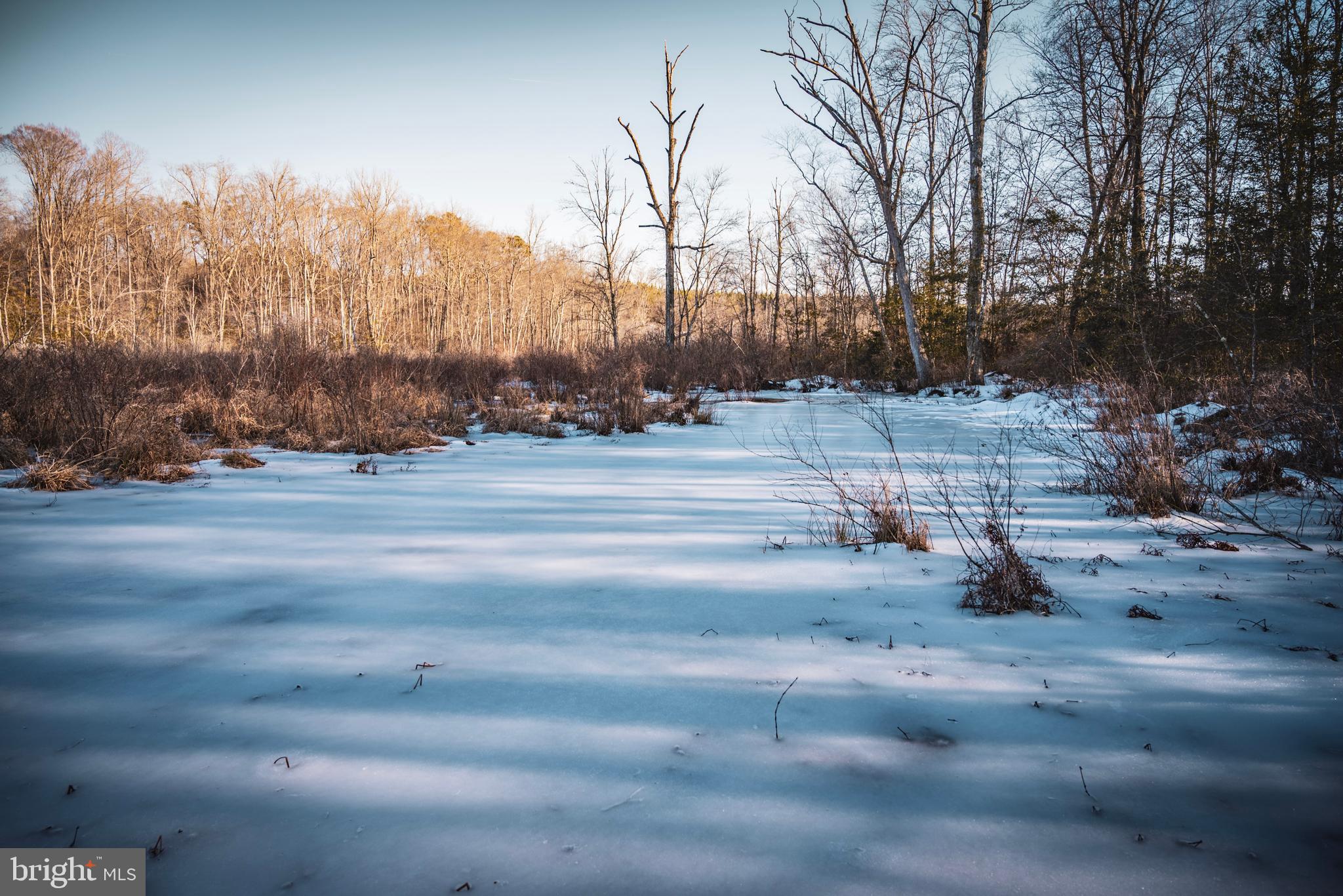 Tbd Sparta Road Milford, VA 22514 - Photo 25 of 48 a view of a basketball court
