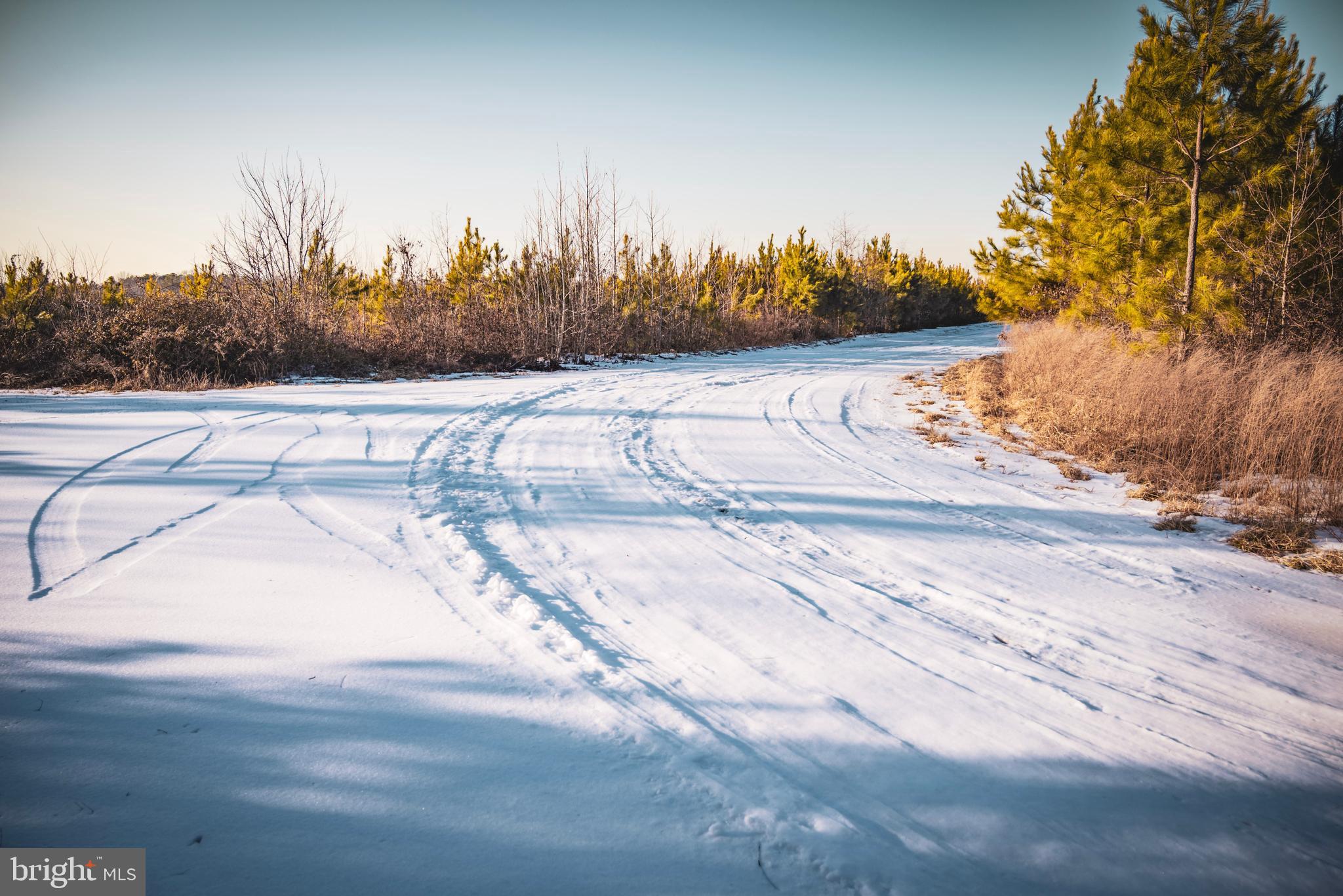 Tbd Sparta Road Milford, VA 22514 - Photo 28 of 48 a view of a yard