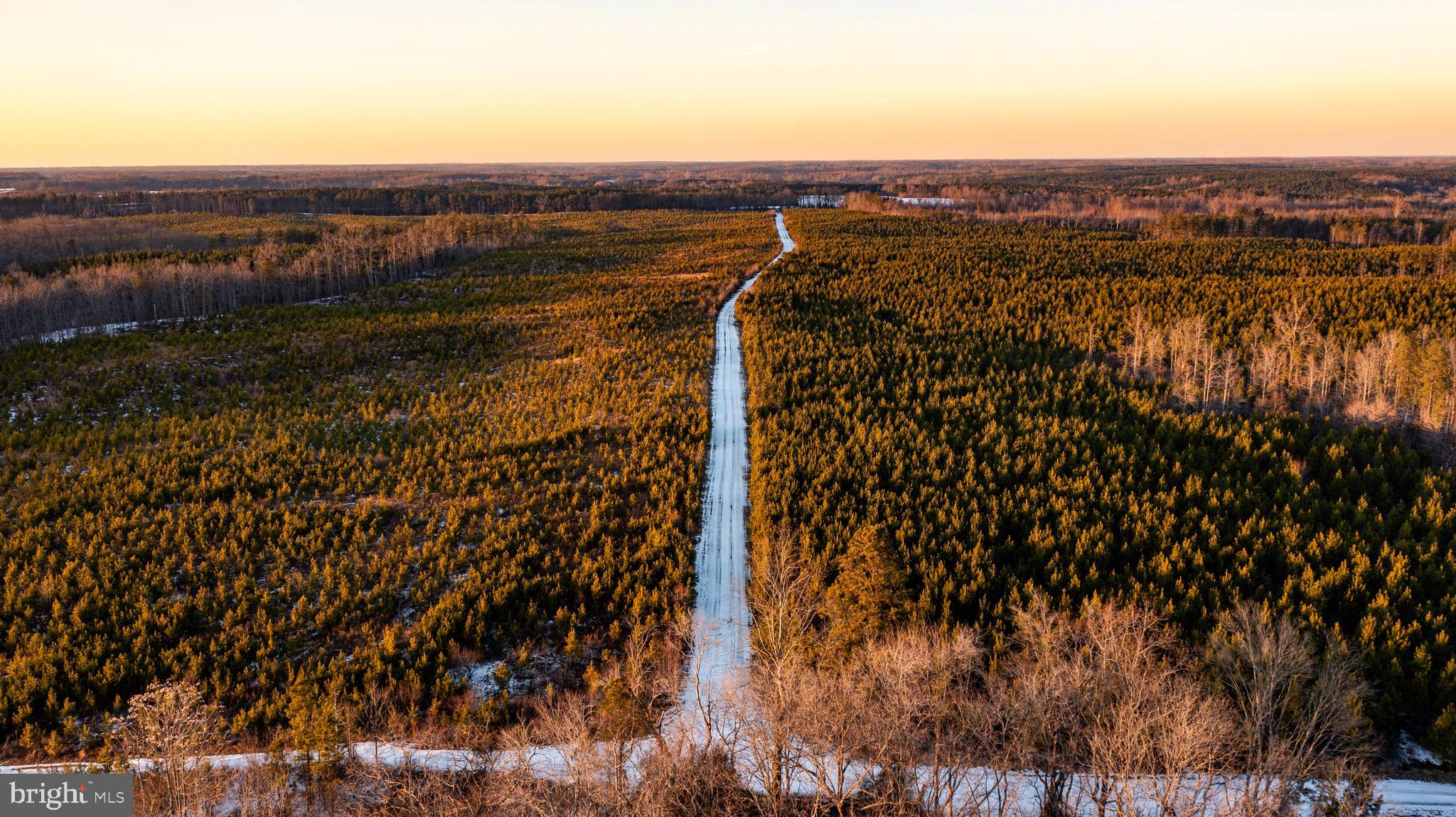 Tbd Sparta Road Milford, VA 22514 - Photo 35 of 48 a view of a city