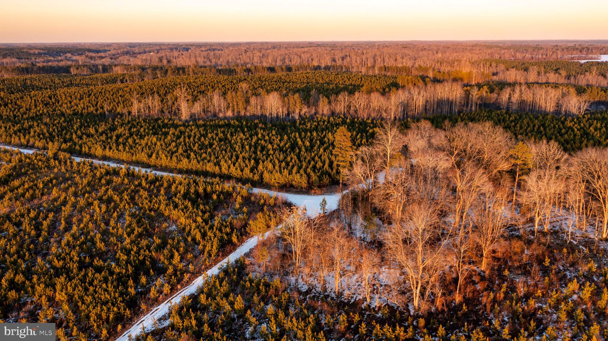 Tbd Sparta Road Milford, VA 22514 - Photo 36 of 48 a view of a city