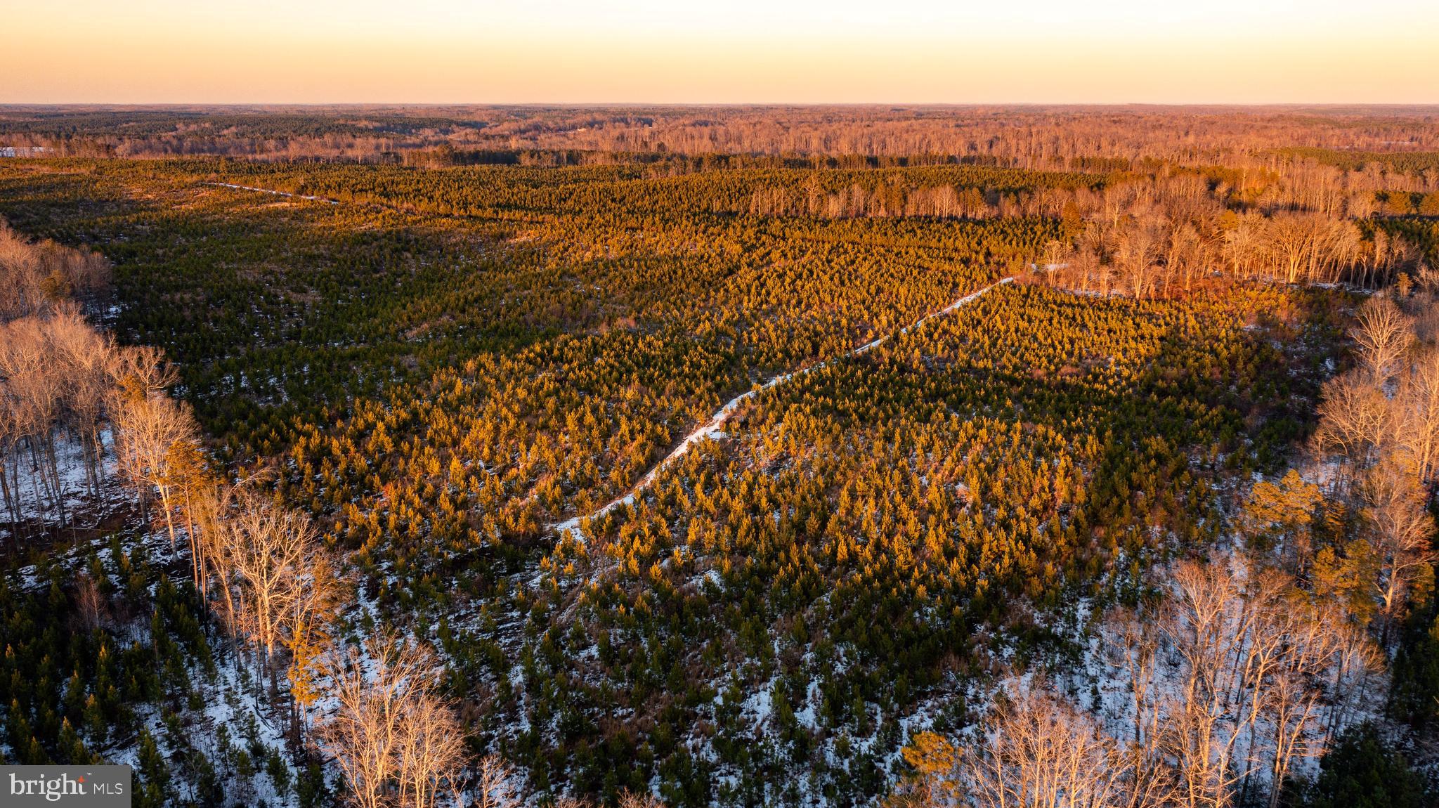 Tbd Sparta Road Milford, VA 22514 - Photo 37 of 48 a view of city and mountain