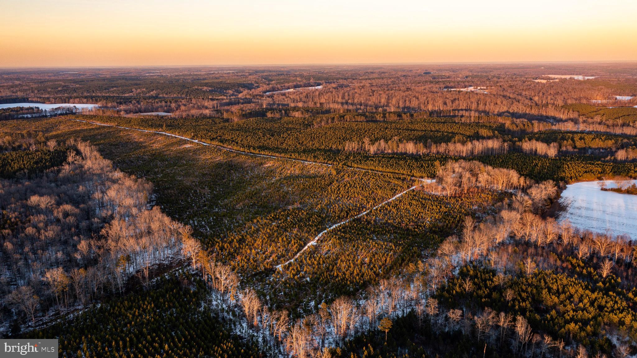 Tbd Sparta Road Milford, VA 22514 - Photo 38 of 48 an aerial view of residential houses with outdoor space and trees