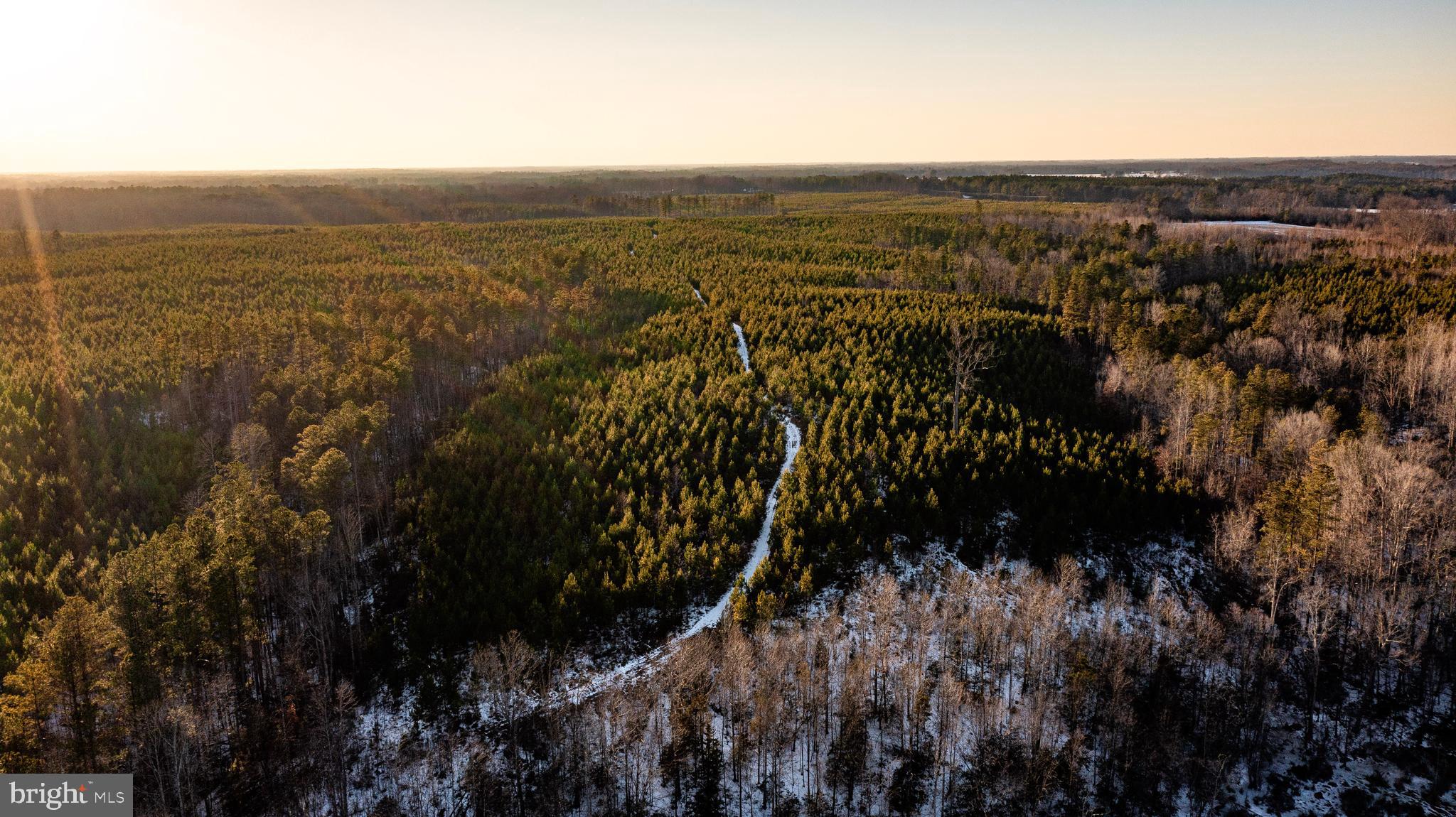 Tbd Sparta Road Milford, VA 22514 - Photo 4 of 48 a view of city and mountain