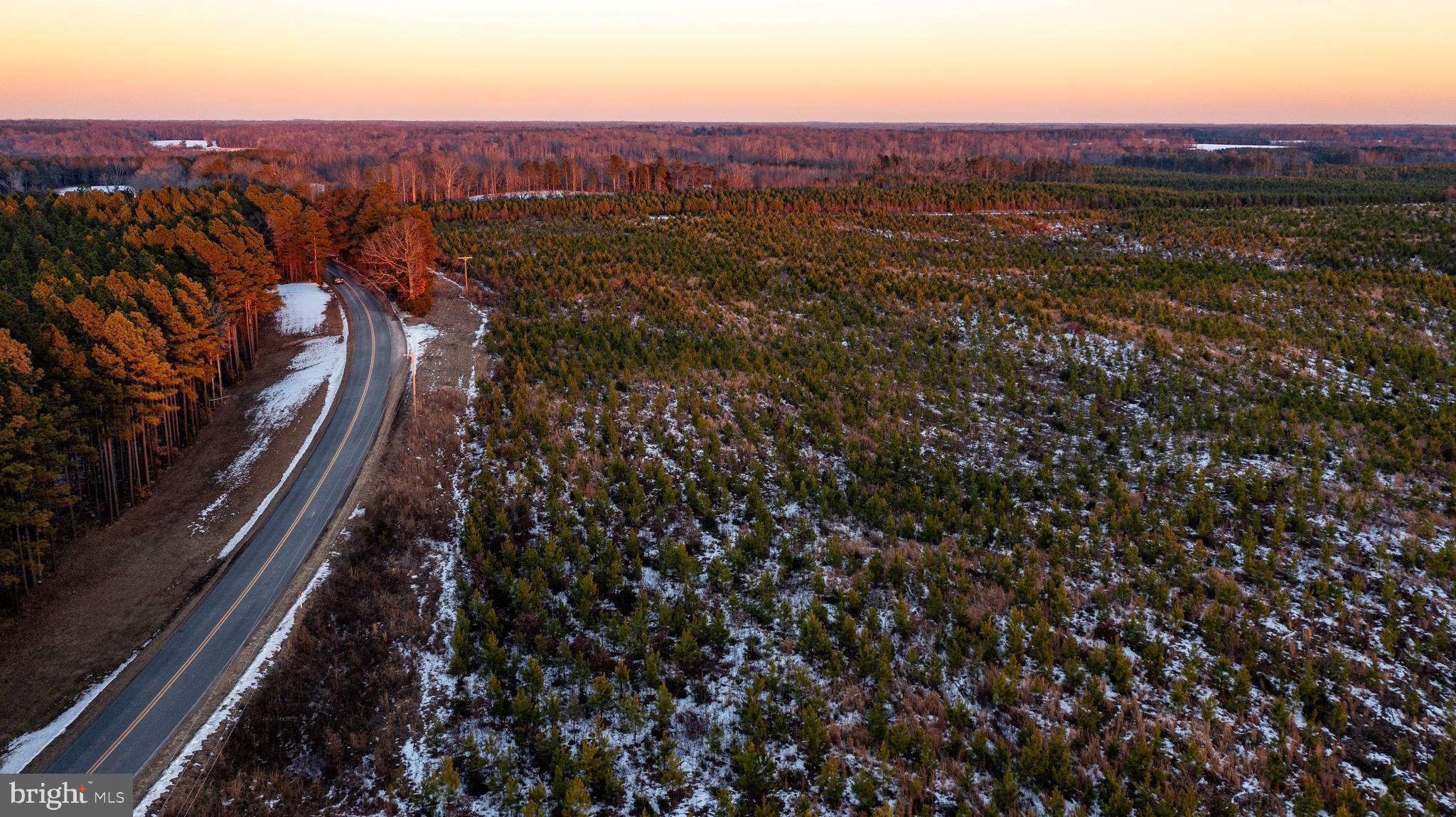 Tbd Sparta Road Milford, VA 22514 - Photo 44 of 48 a view of city and mountain