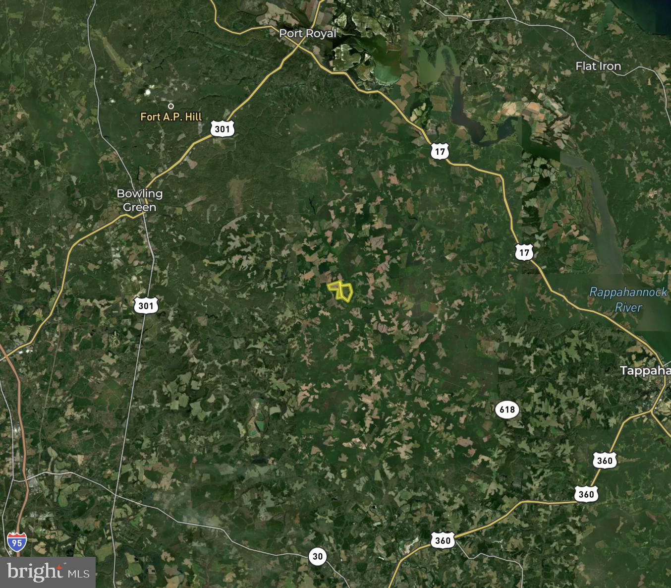 Tbd Sparta Road Milford, VA 22514 - Photo 48 of 48 a picture of tree