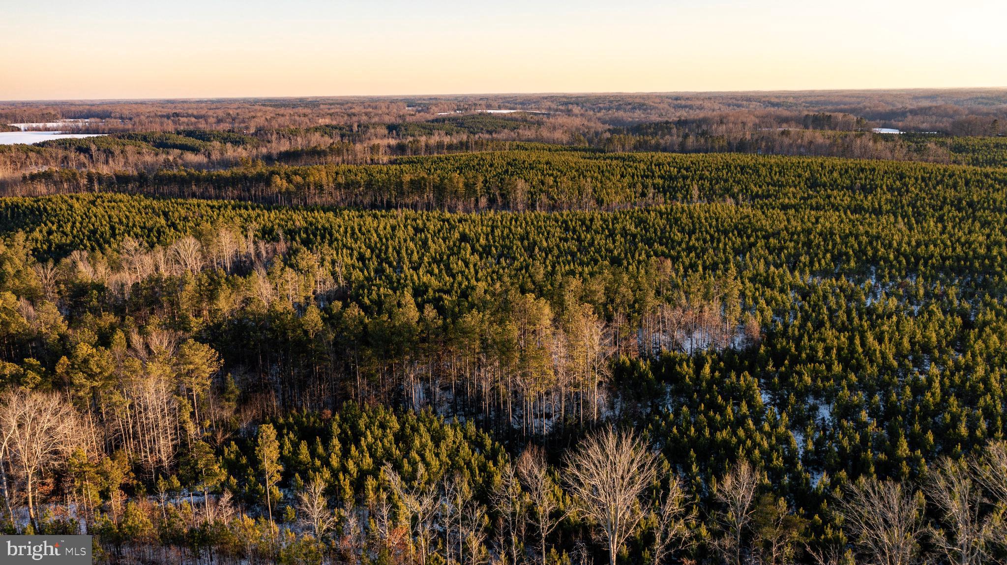 Tbd Sparta Road Milford, VA 22514 - Photo 5 of 48 a view of a city with lush green forest
