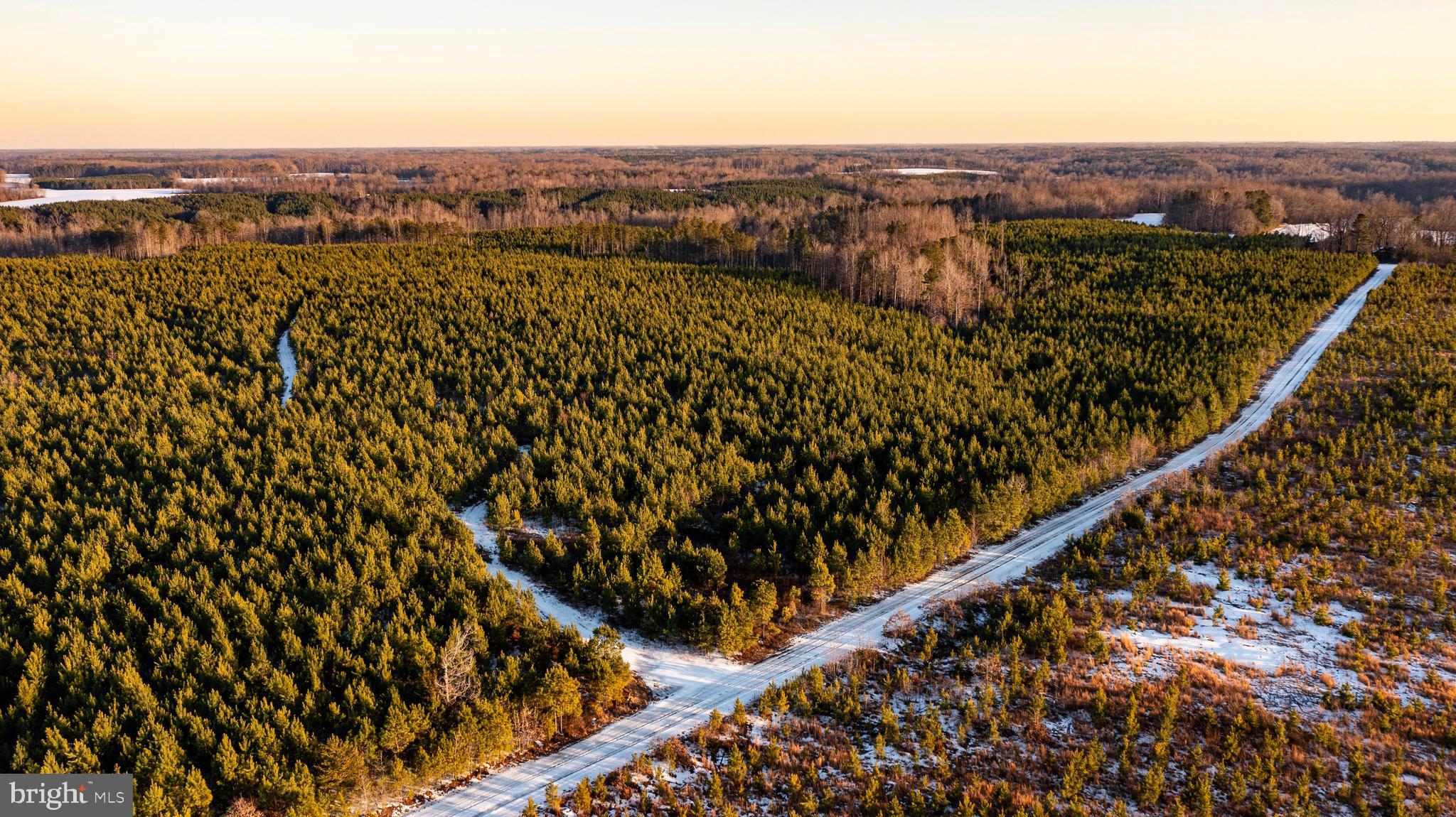 Tbd Sparta Road Milford, VA 22514 - Photo 7 of 48 an aerial view of houses with a yard