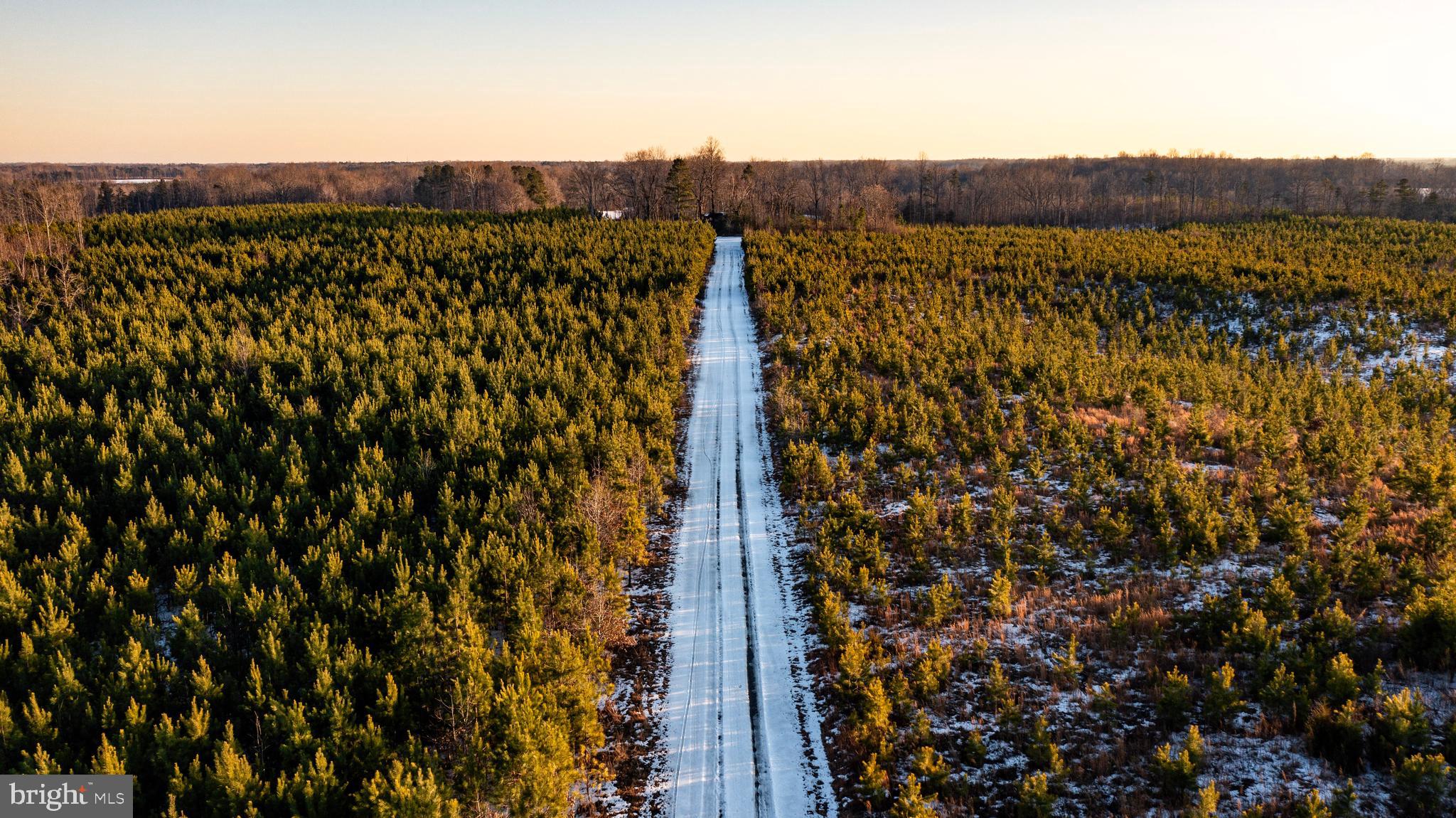 Tbd Sparta Road Milford, VA 22514 - Photo 9 of 48 a view of a city