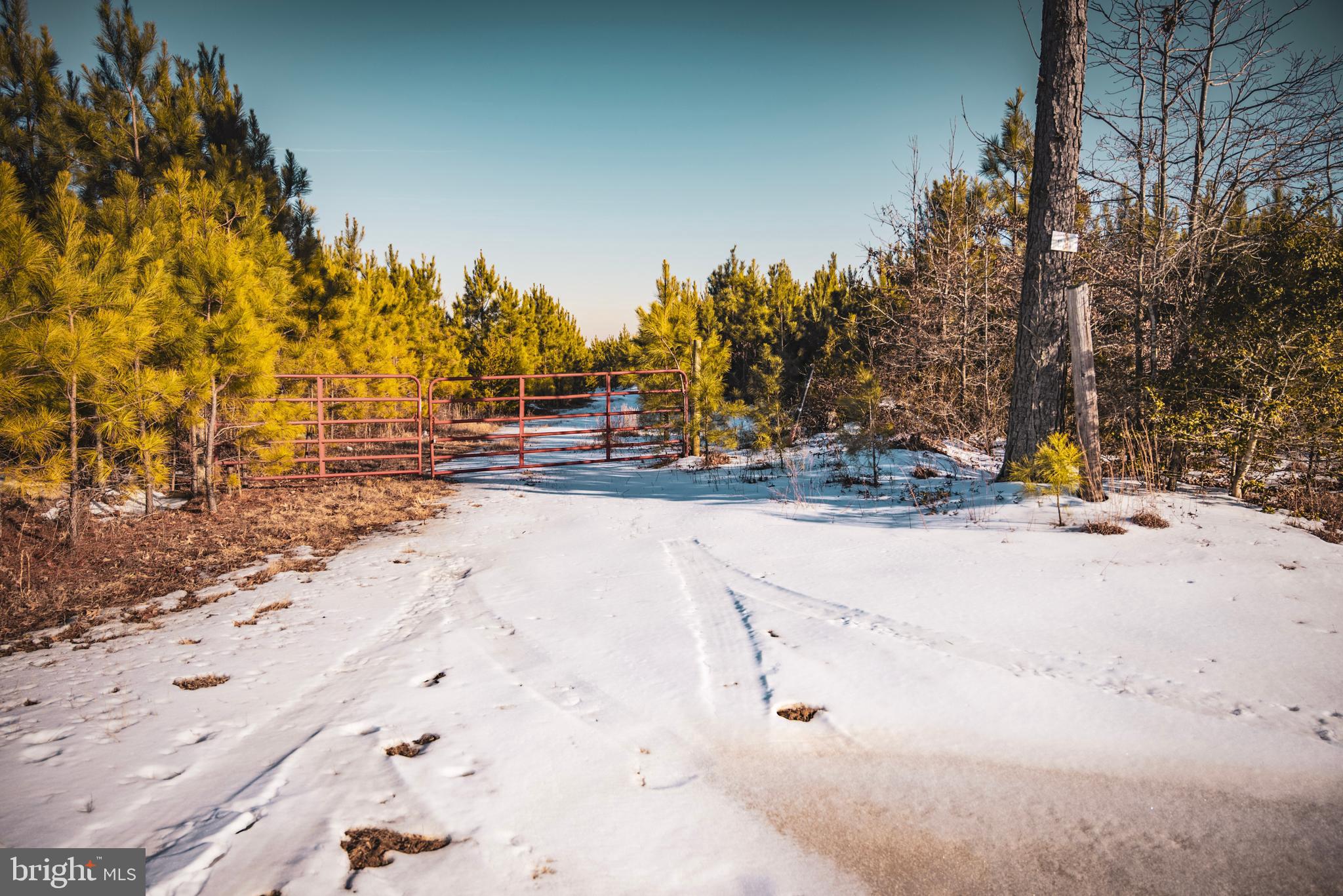 Tbd Sparta Road Milford, VA 22514 - Photo 10 of 48 a view of road and trees
