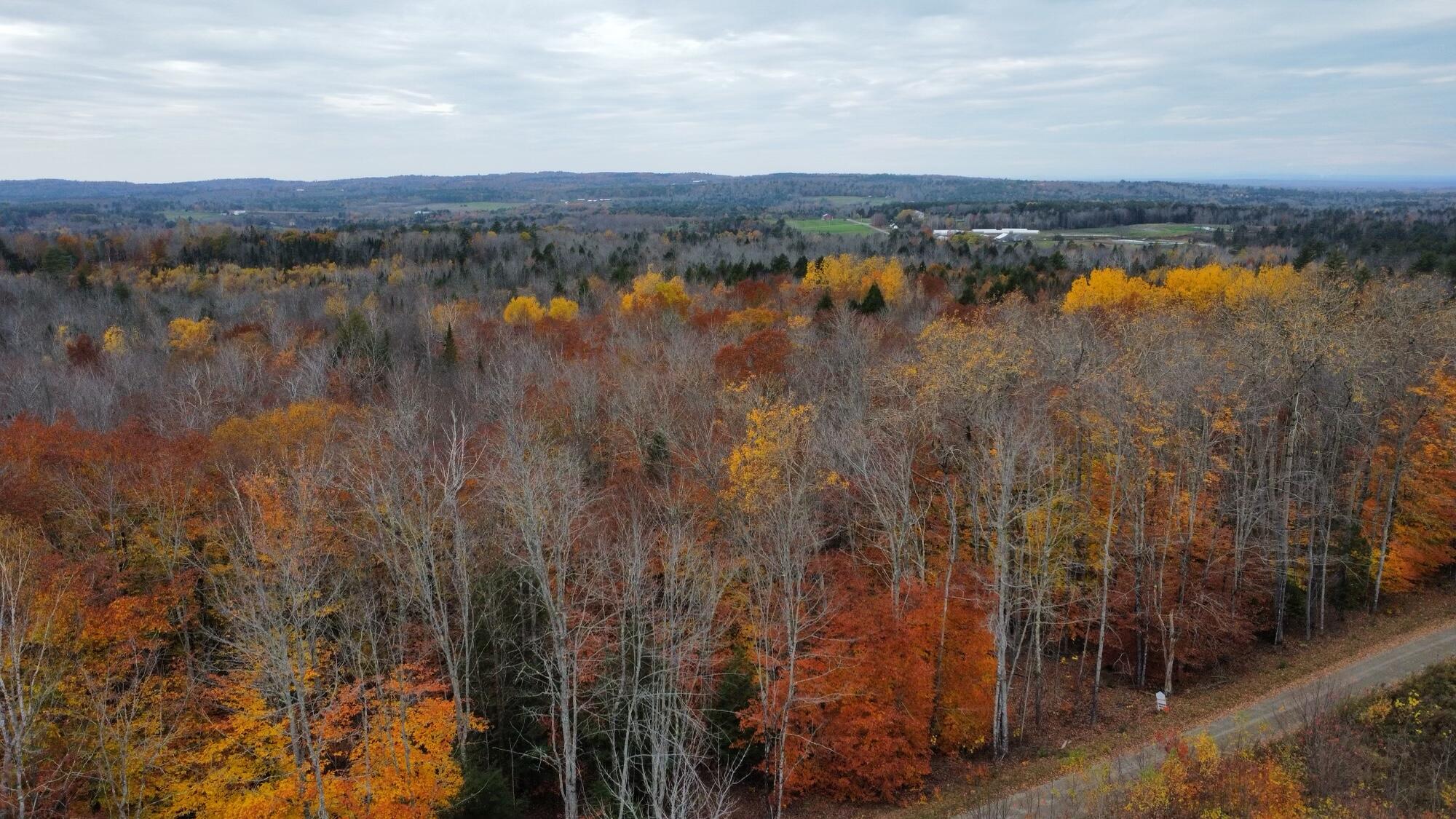 Lot 6 Hamm Road Thorndike, ME 04986 - Photo 10 of 15 40499ADE-DD41-4D58-B5E2-93813A62499E