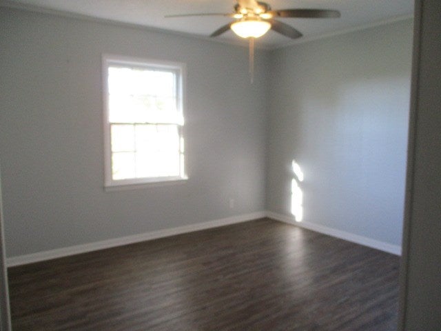 477 Ed Lindsey Road Lenox, GA 31637 - Photo 14 of 21 Gallery Image 14