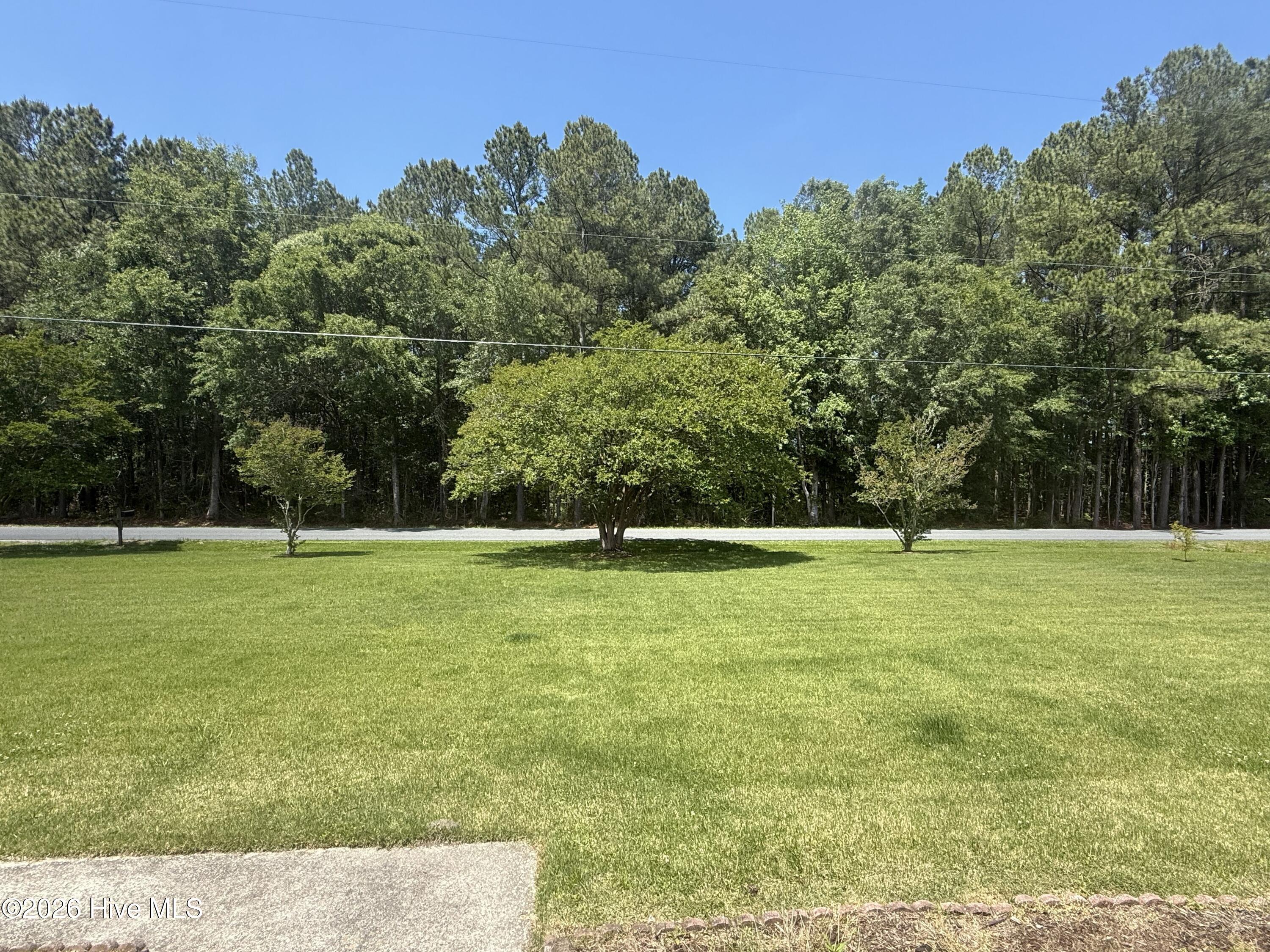 462 Old Cherry Road Creswell, NC 27928 - Photo 65 of 65 View from front porch