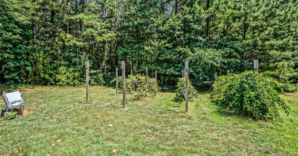 5032 Raintree Lane, Unit 45 Maiden, NC 28650 - Photo 30 of 32 Gallery Image 30