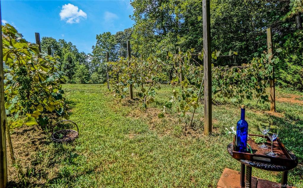 5032 Raintree Lane, Unit 45 Maiden, NC 28650 - Photo 32 of 32 Gallery Image 32