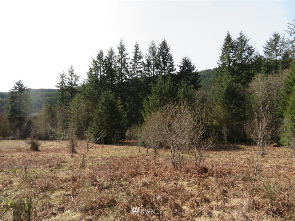3 Coal Creek Road Longview, WA 98632 - Photo 22 of 25 Gallery Image 22