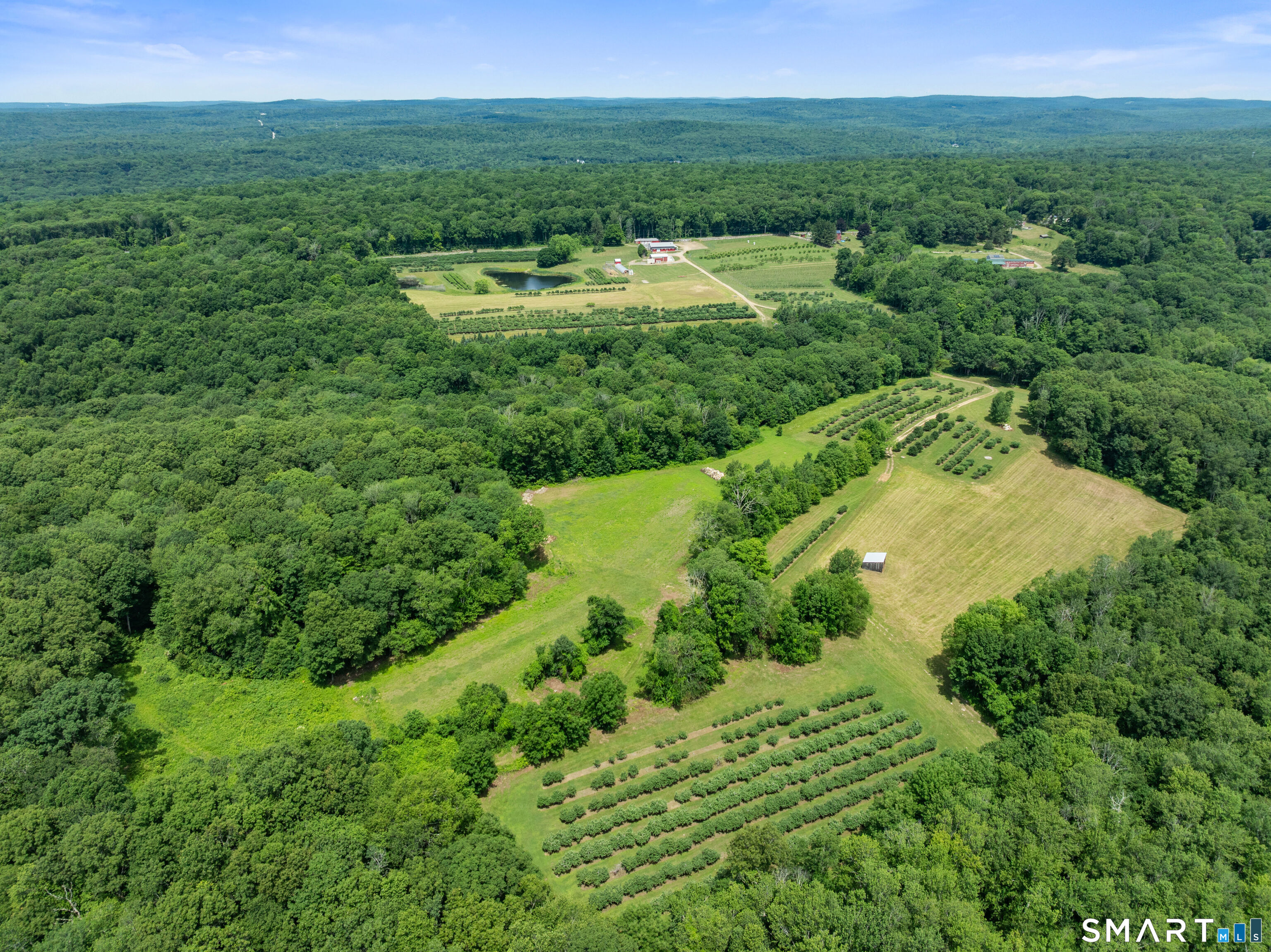 317 Bebbington Road Ashford, CT 06278 - Photo 3 of 40