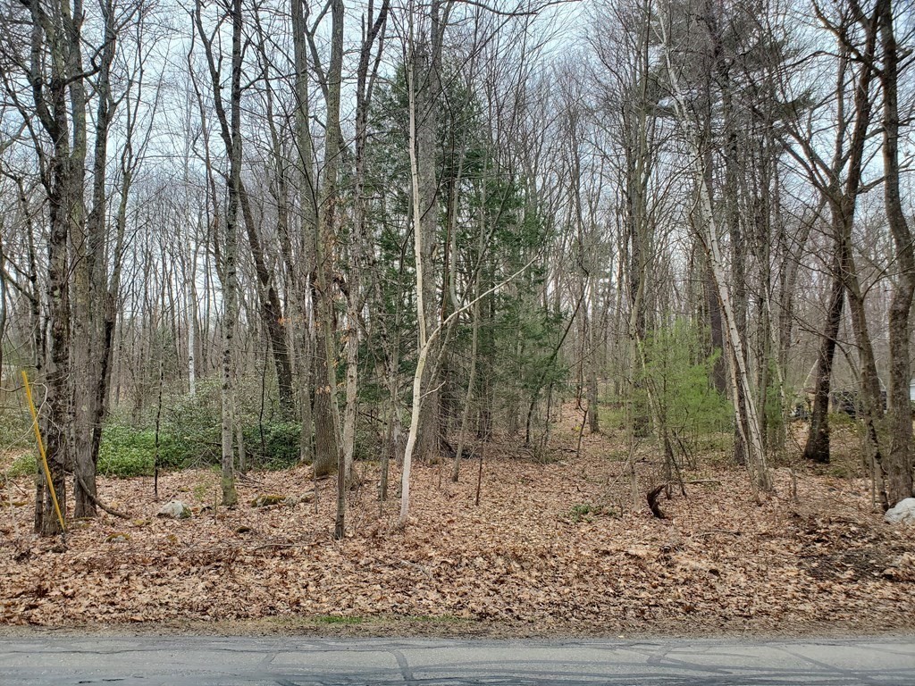 33 Kingsbury Road Spencer, MA 01562 - Photo 4 of 14 Gallery Image 4
