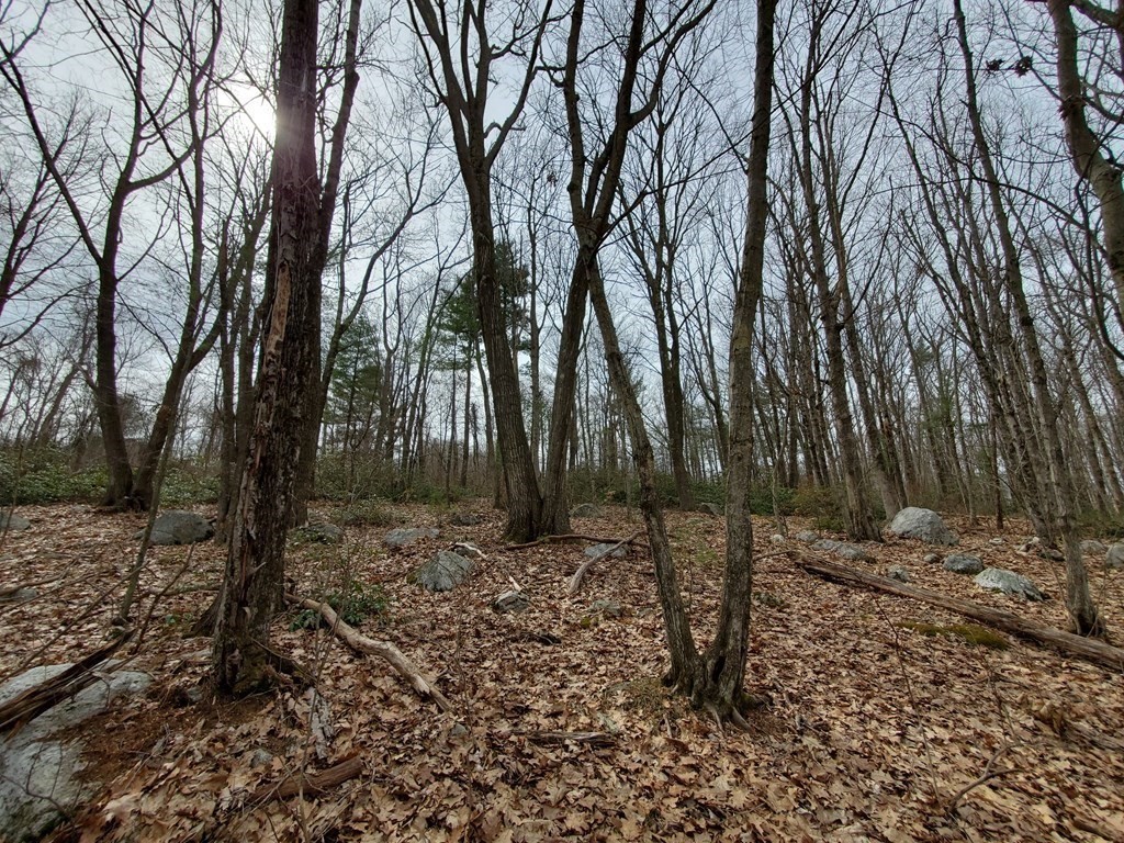33 Kingsbury Road Spencer, MA 01562 - Photo 6 of 14 Gallery Image 6