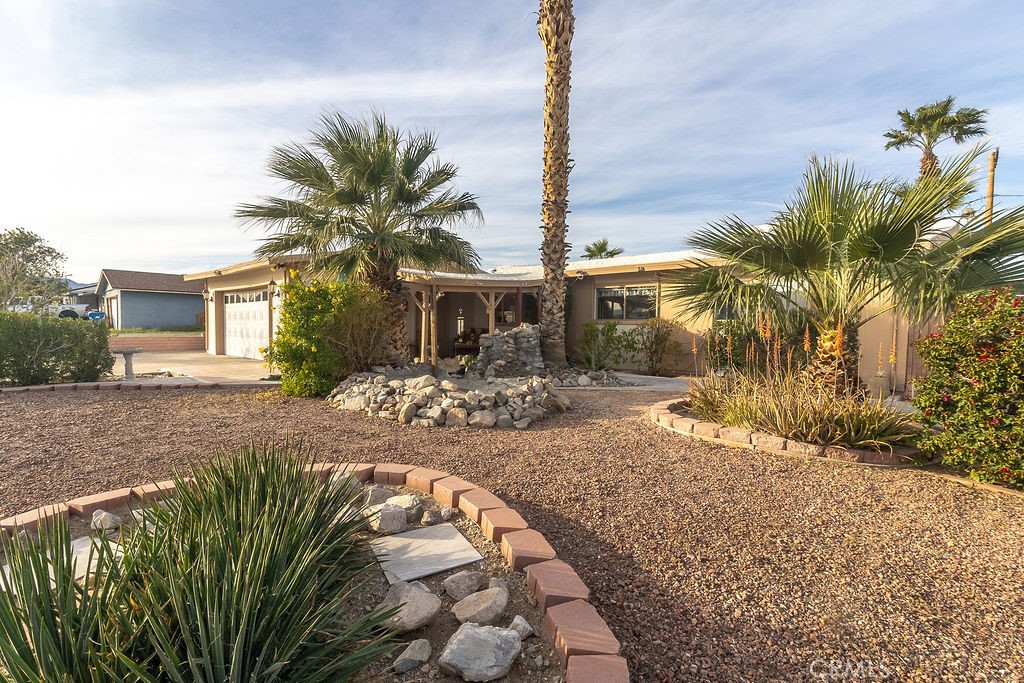 a view of a backyard with plants and palm tree