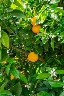 $1,100,000 | 1107 North Towner Street, Santa Ana, CA 92703