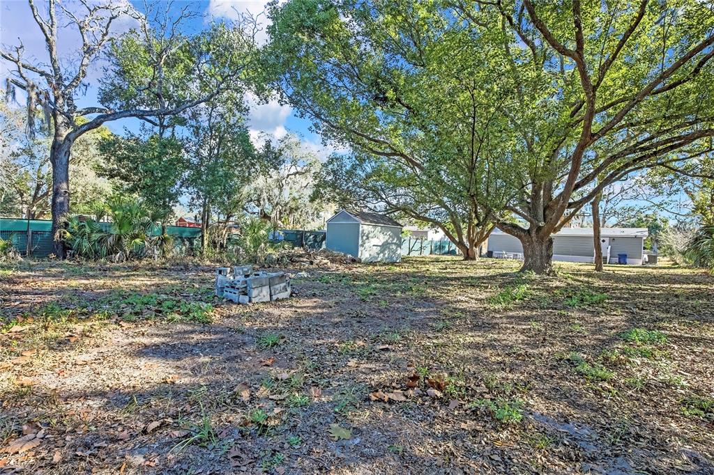 15739 Brenda Street Hudson, FL 34667 - Photo 48 of 50 a view of a yard with a tree