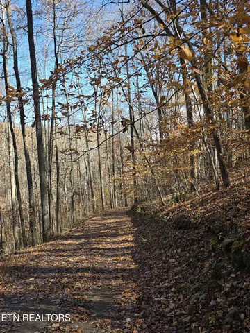 $325,000 | 127 Lark Lane, La Follette, TN 37766