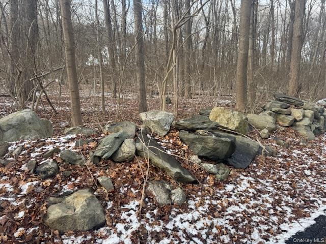 2 Eder Road Stormville, NY 12582 - Photo 2 of 3 View of undeveloped land