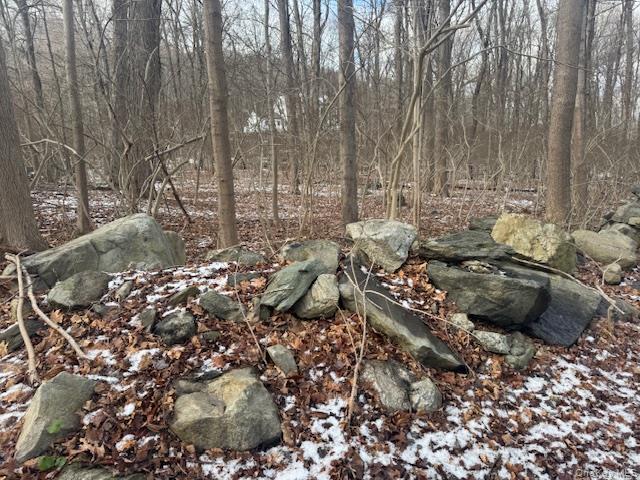 2 Eder Road Stormville, NY 12582 - Photo 3 of 3 View of undeveloped land
