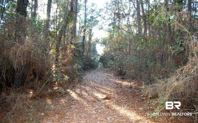 12050 Mary Ann Bch Road Fairhope, AL 36532 - Photo 24 of 44