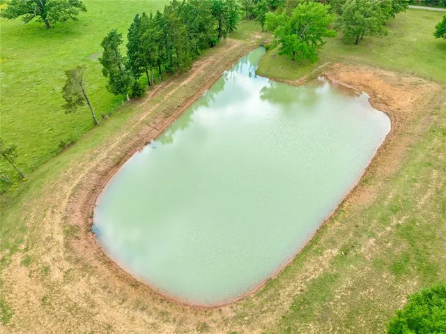 a view of a swimming pool with a yard and large trees