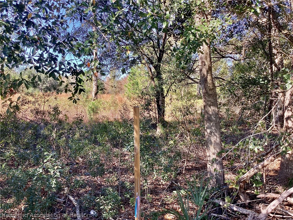 808 South Gabriel Road Avon Park, FL 33825 - Photo 2 of 5 Gallery Image 2