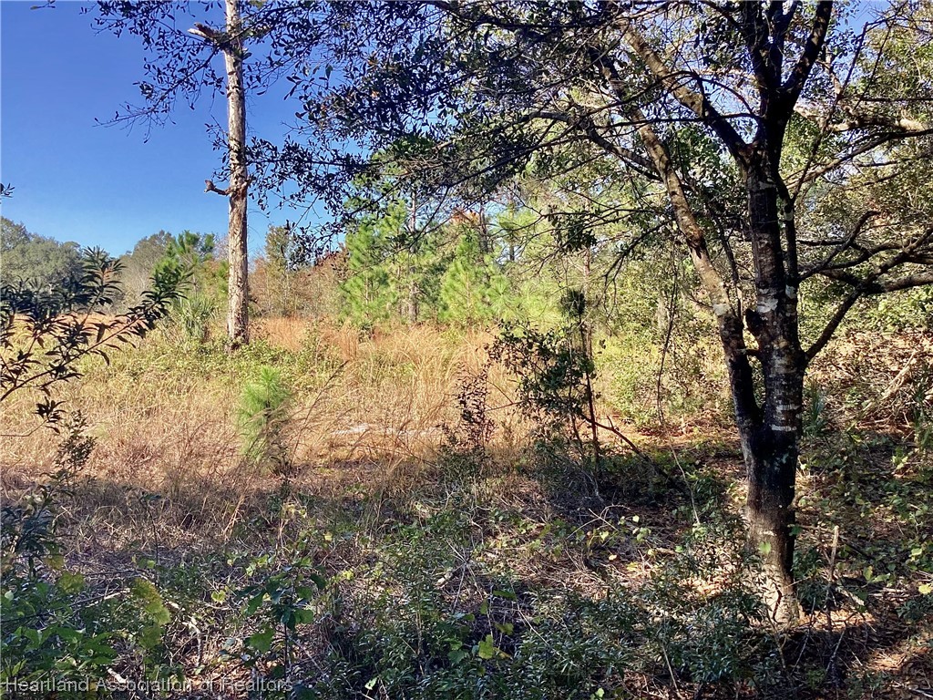 808 South Gabriel Road Avon Park, FL 33825 - Photo 3 of 5 Gallery Image 3