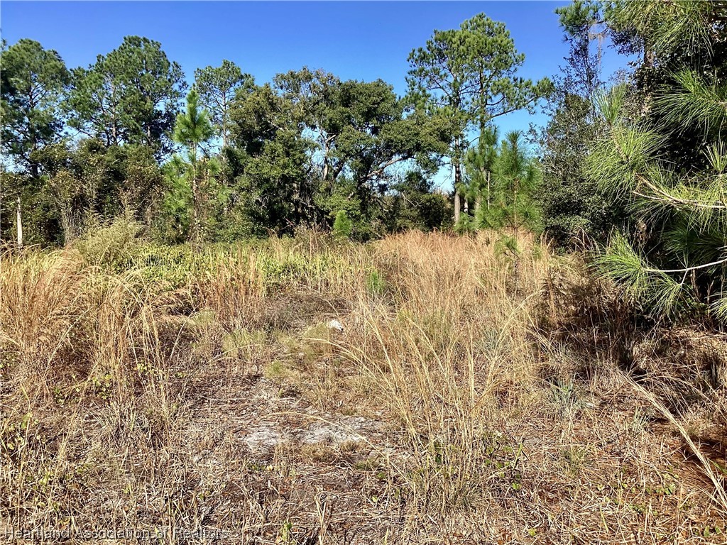 808 South Gabriel Road Avon Park, FL 33825 - Photo 4 of 5 Gallery Image 4